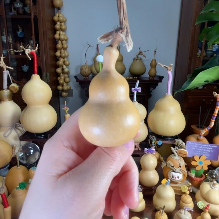 开播福福厚皮满籽葫芦