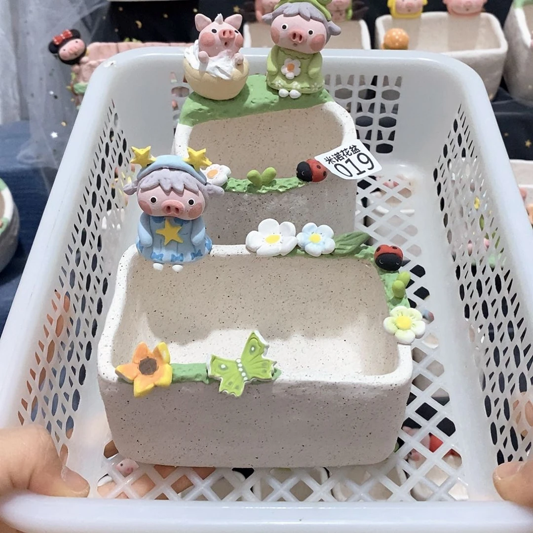 明*病米诺多肉花盆19