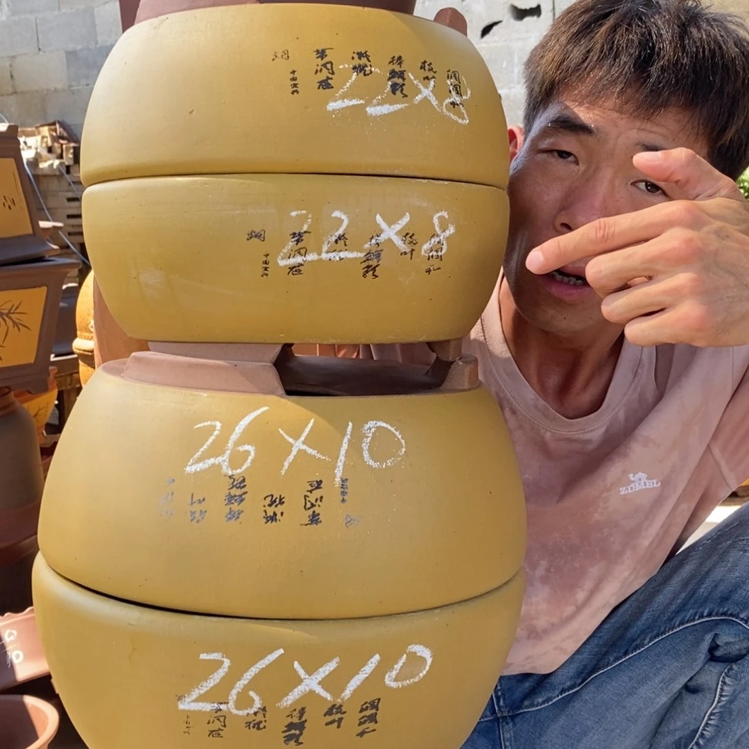 紫砂紫砂紫砂紫砂