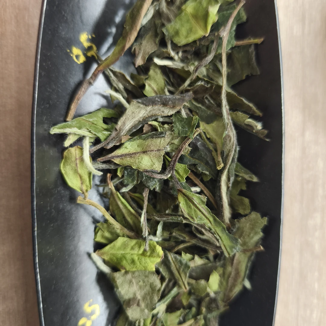 北方仓白茶通用10克寿眉10g*1罐