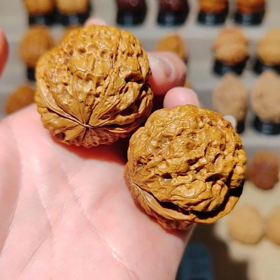 文玩核桃把件17年金蟾王有沙眼39尺