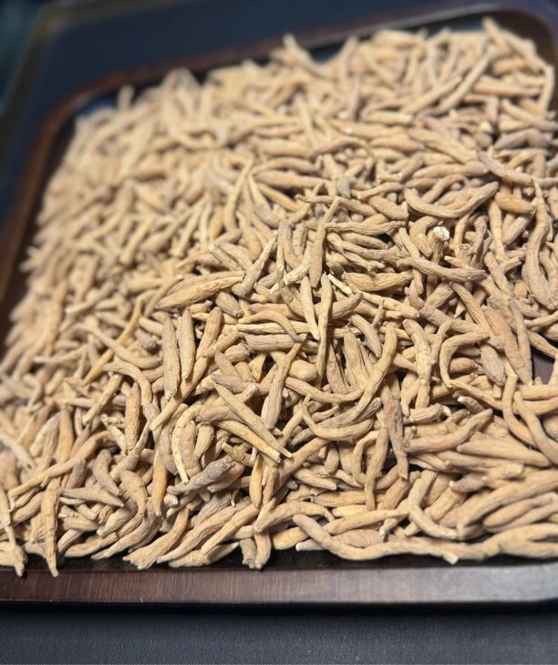 大曾甄选 太仔參 【鱼胶s116】