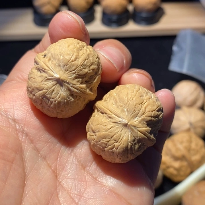 核桃18号链接水晶蛇皮球30尺寸