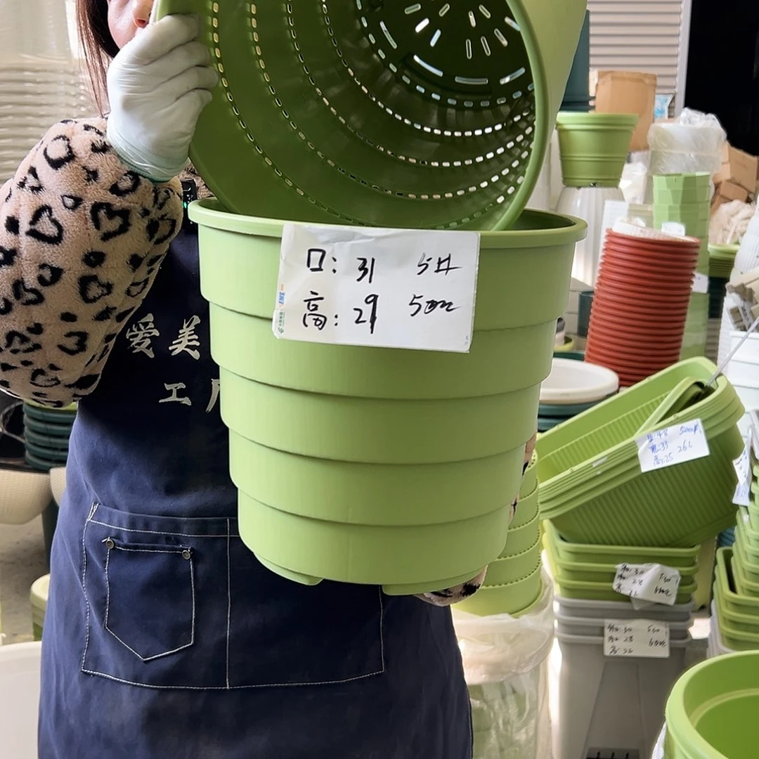 多孔盆5#果绿3个无托