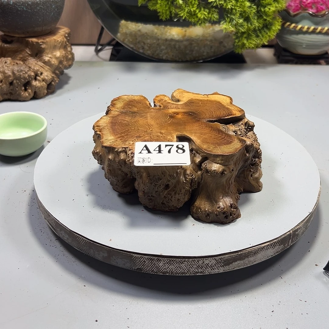 大果紫檀（缅甸花梨）多*派