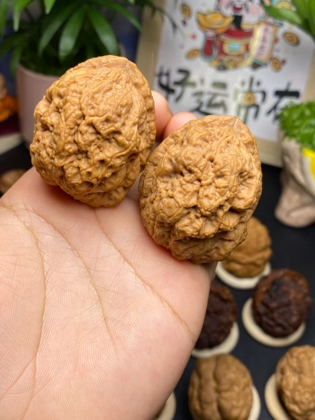 云南铁核桃金刚佛手