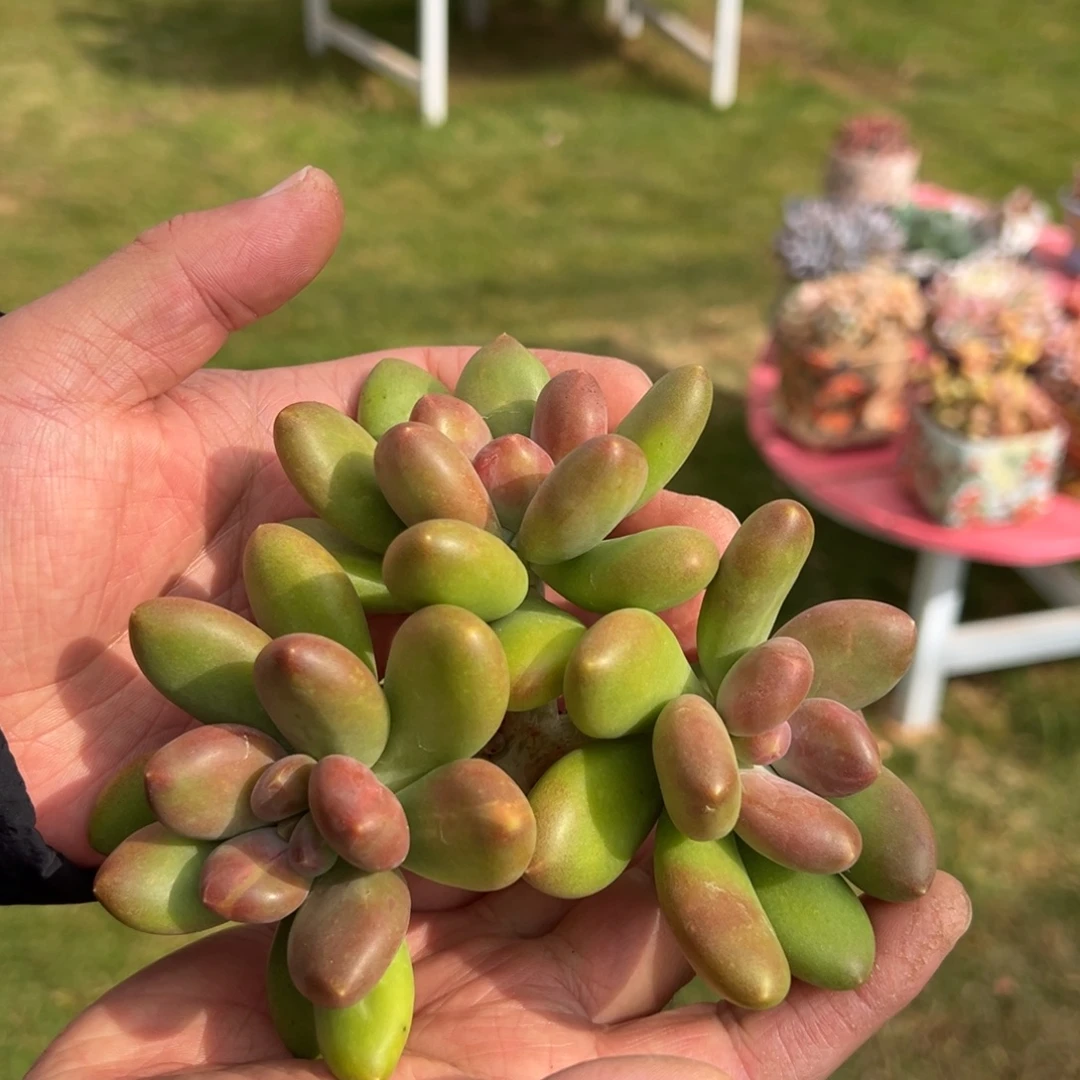 112211111111111111111