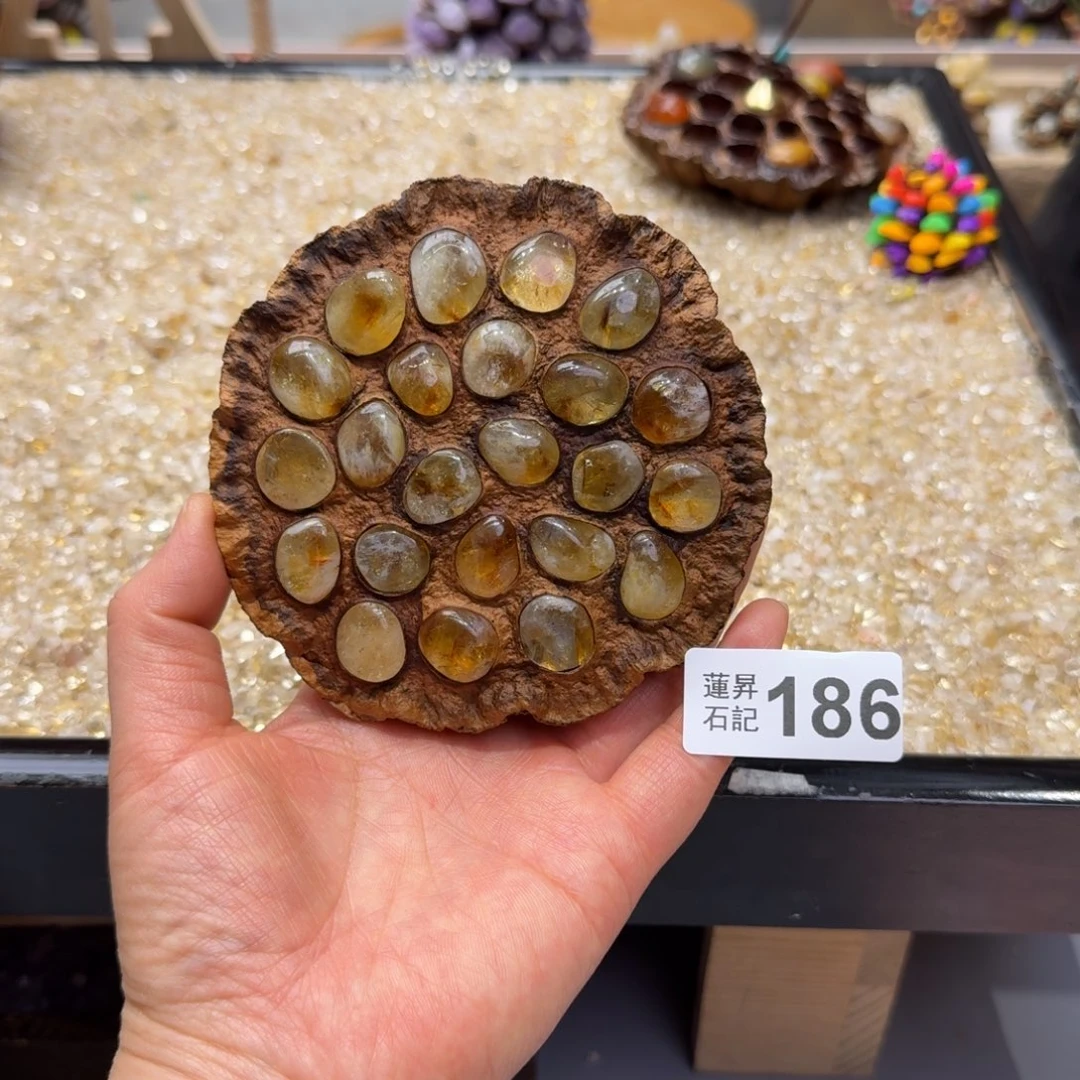 *****186莲蓬摆件莲蓬摆件