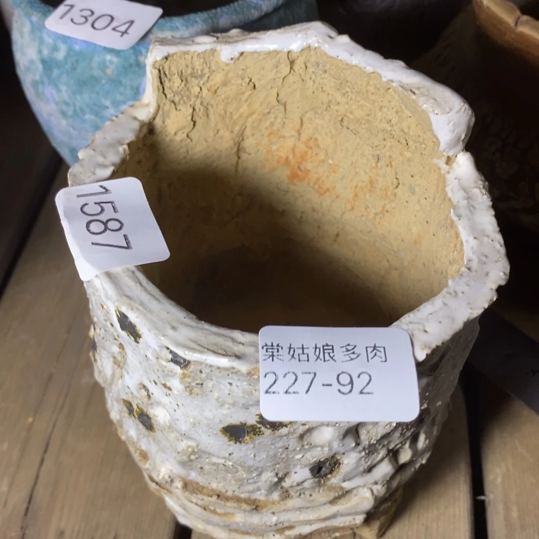 红陶｀****?92号链接一个