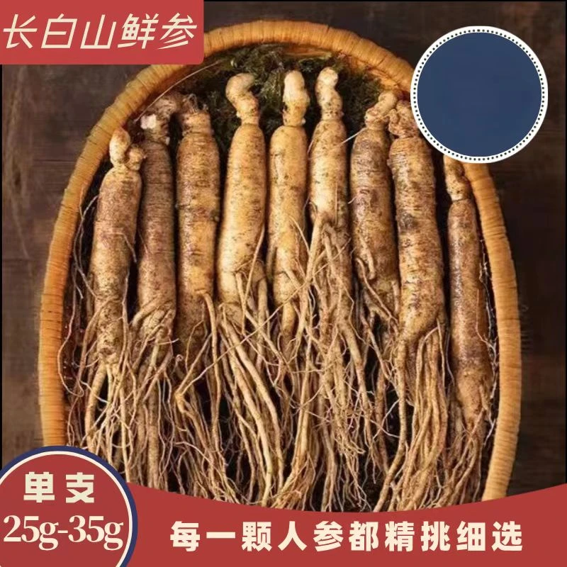 长白山鲜人参25-35g/支 送人参种子 参味浓郁