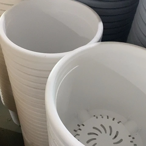 树脂四季5号纯白无托10个