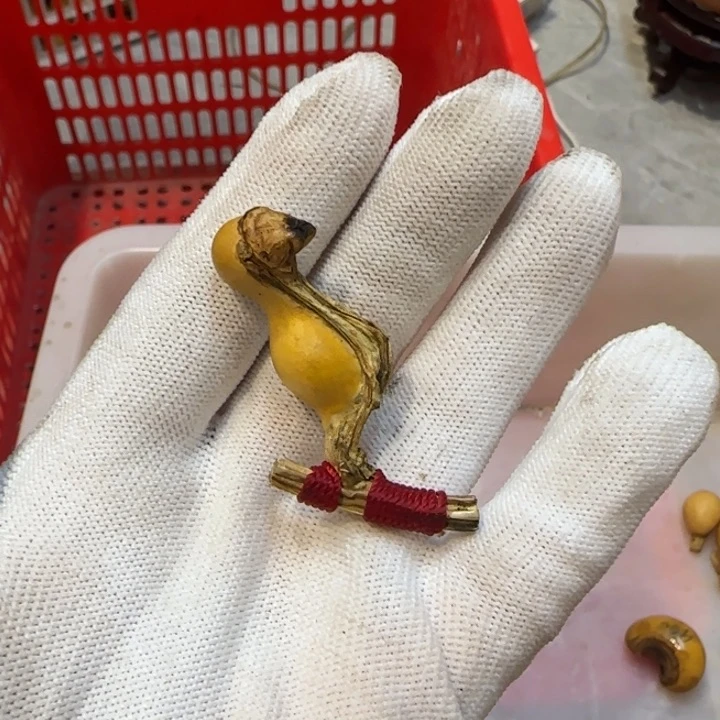 阿*L哈哈哈哈哈哈哈哈哈