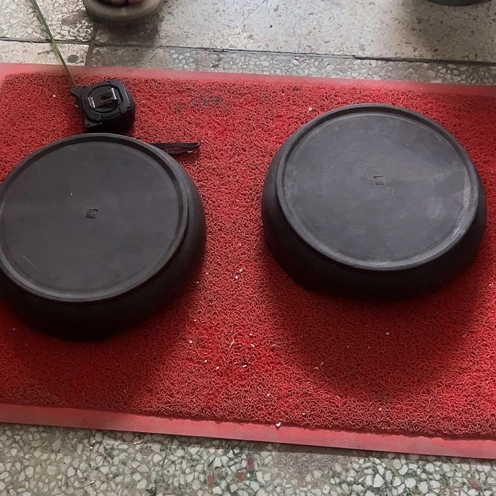 红陶α*。。。。。。。。。。。