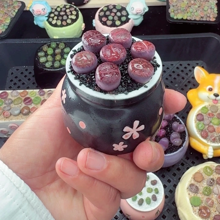 557零下地区记得拍保温箱