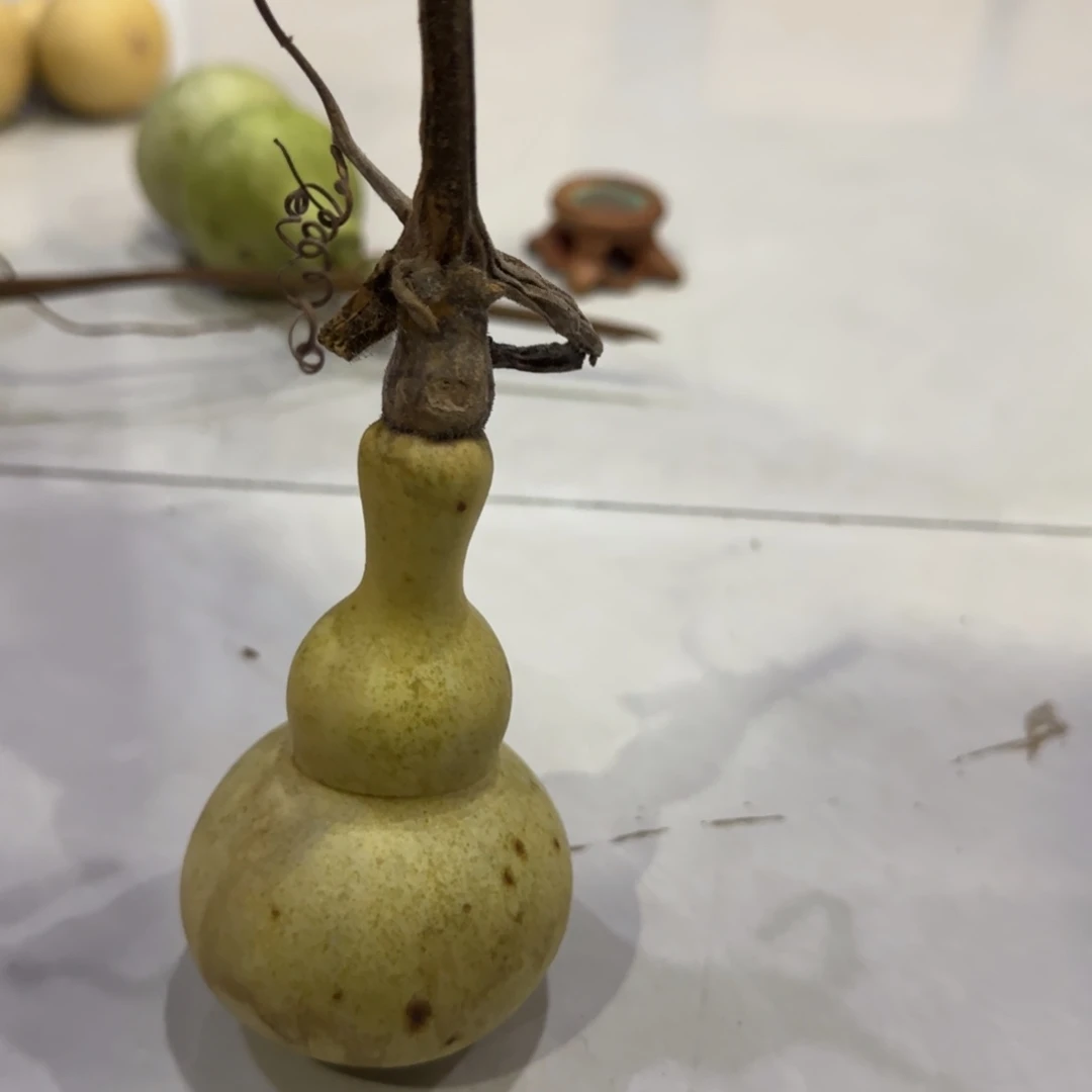 青皮不包成青皮不包成