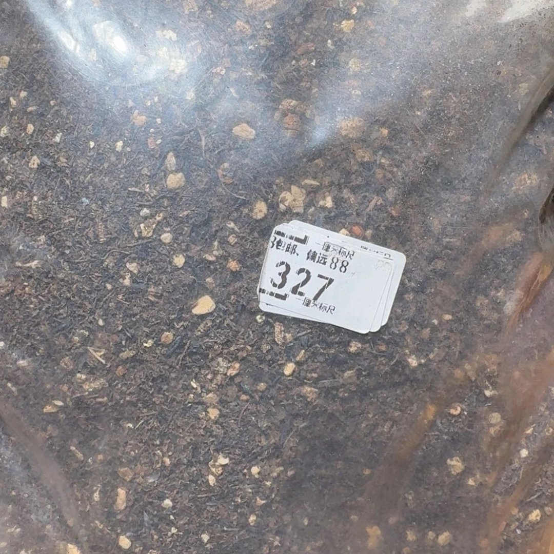 Sss新年快乐价327