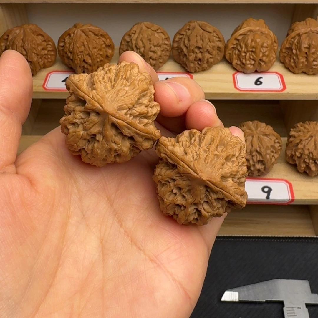 把件文玩核桃全品38尺野牛