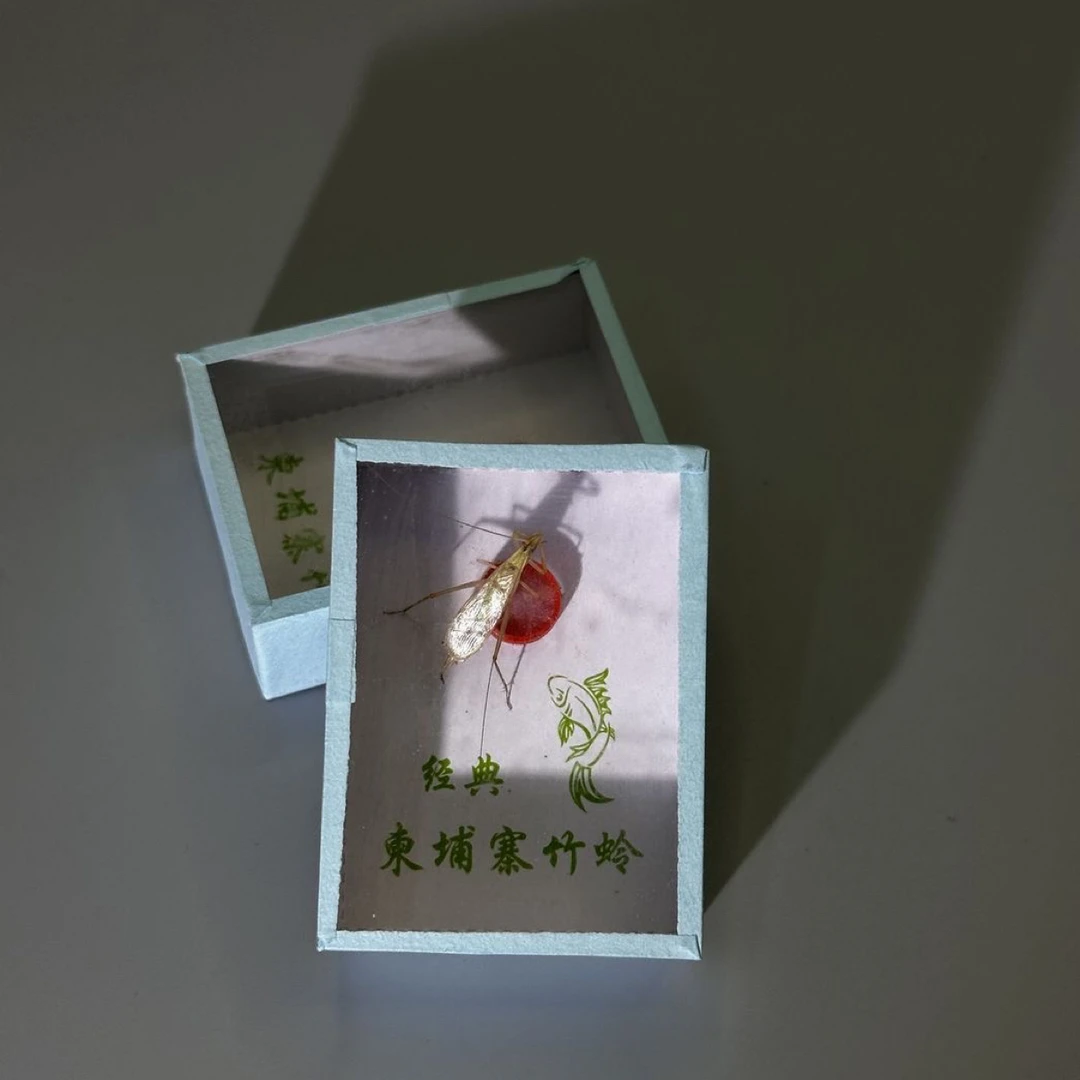 经典柬埔寨竹蛉盒子