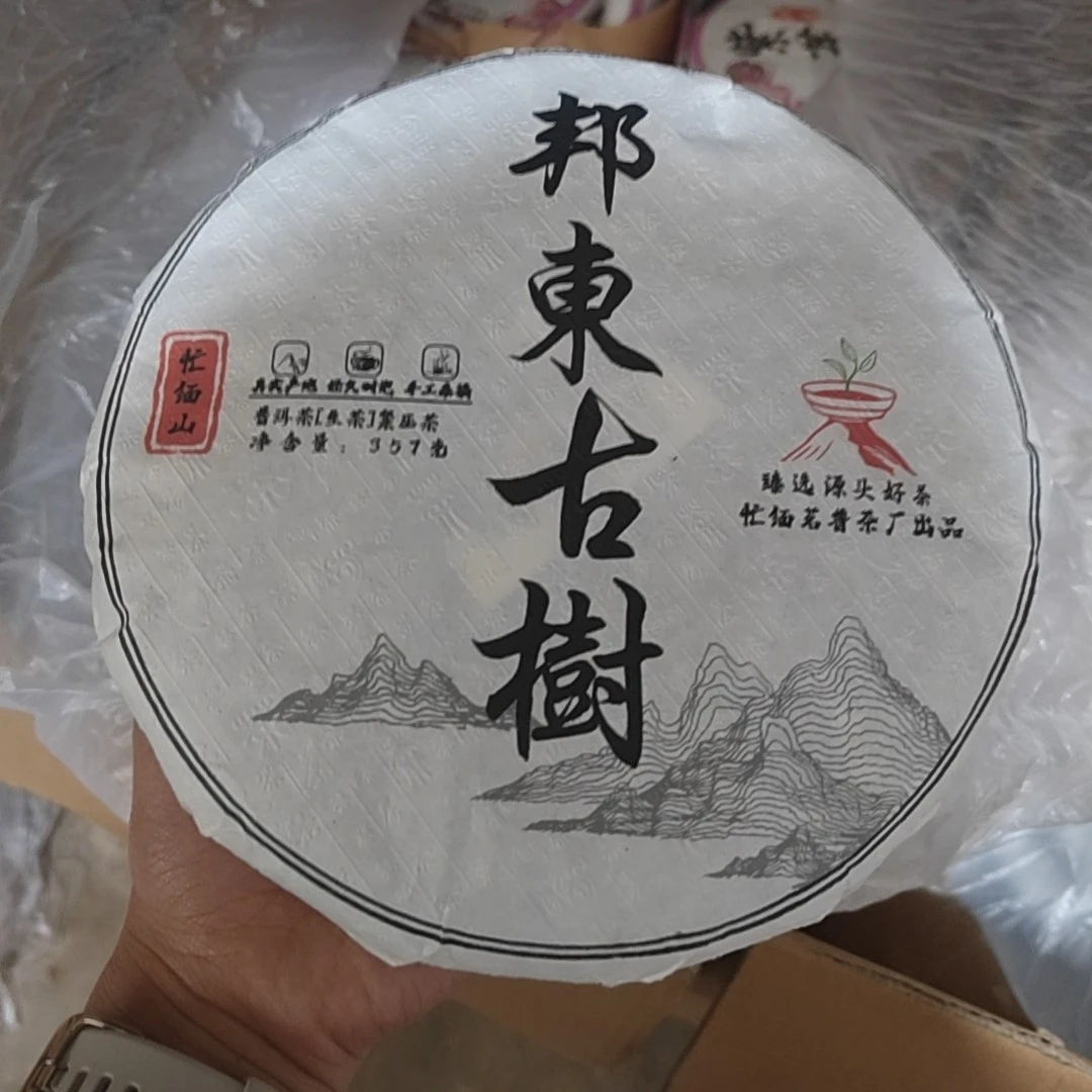 2025年 头春头采 邦东古树 生茶357克饼