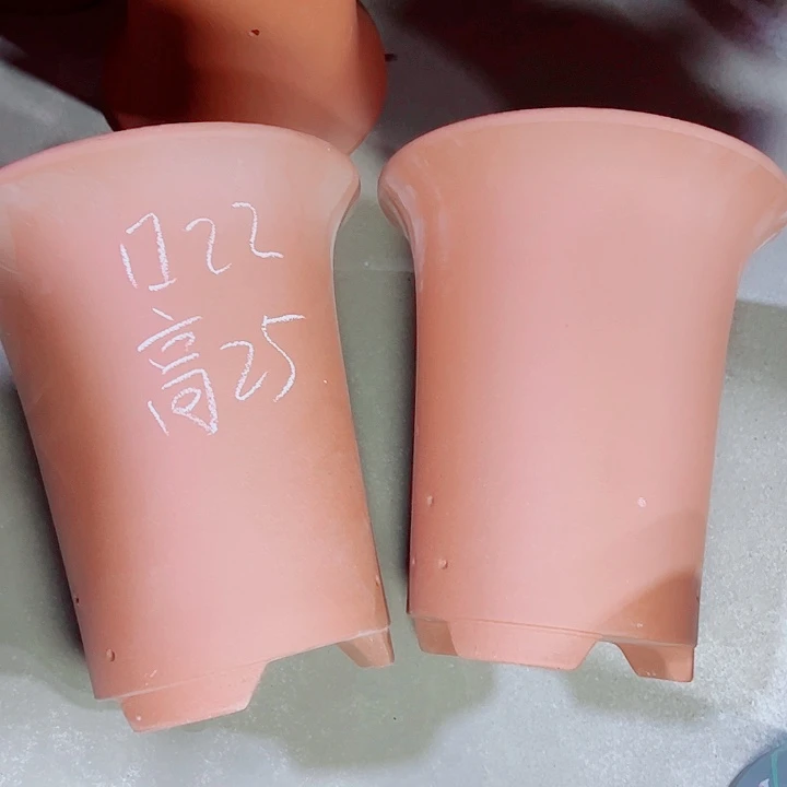 红陶紫砂紫砂紫砂