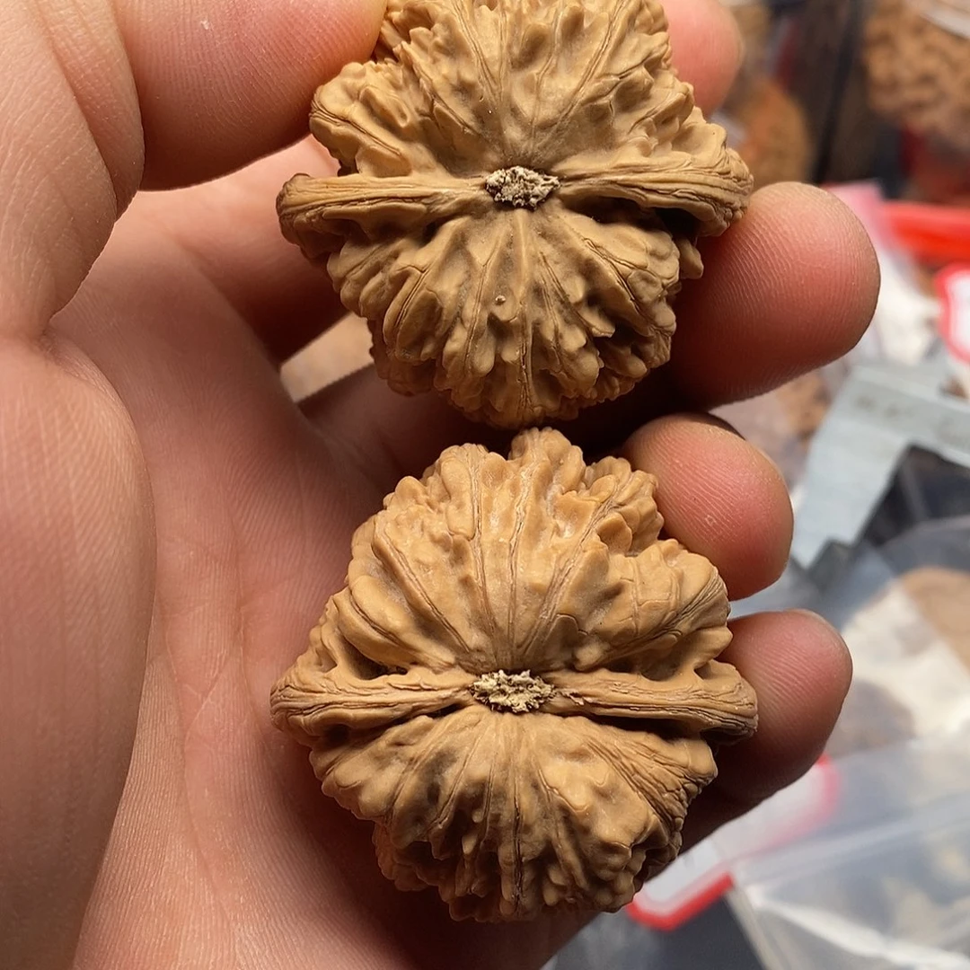 文玩核桃把件平***活粗筋46
