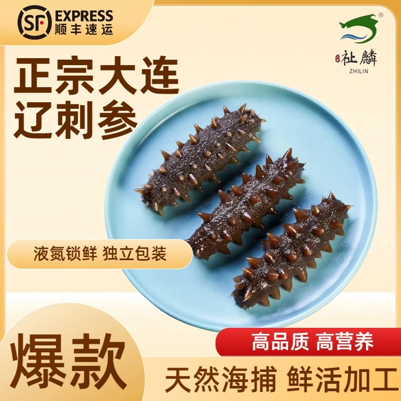 【祉麟】精选深海底播正宗辽刺参12-14头大连即食海参开袋独立包装