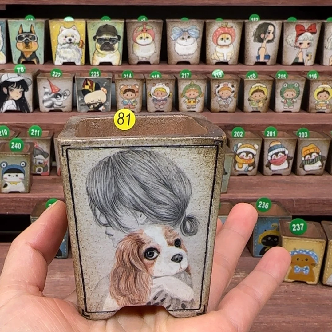 冷***心内口尺寸5厘米左右花盆无心