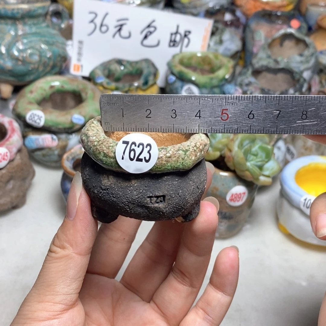 拍3送一个小礼物