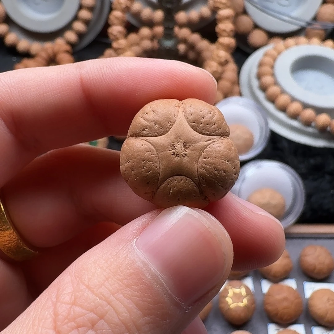 D***r凤眼菩提手串打孔不退不换到付