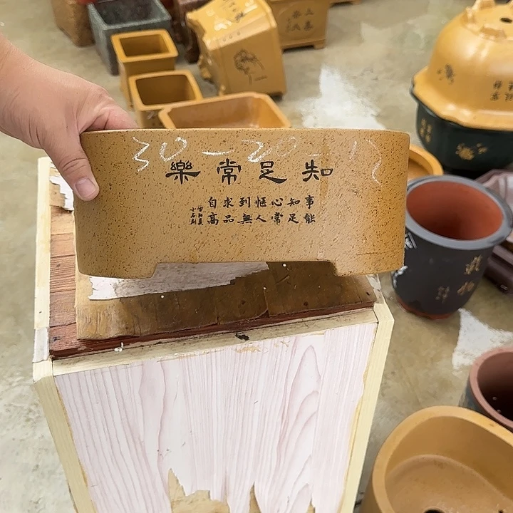 紫砂花盆这是我第一