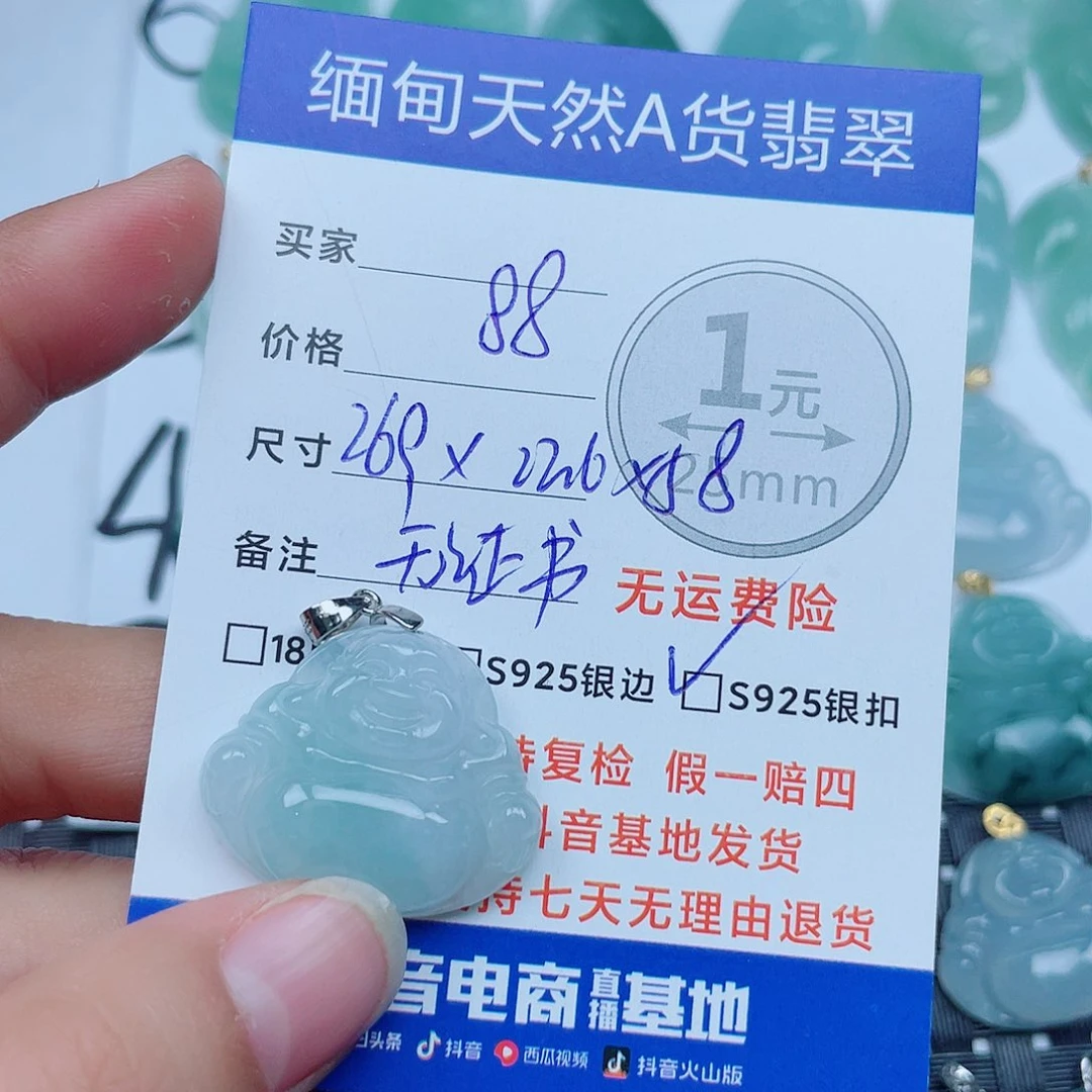 翡翠银S925镶嵌颈饰翡翠
