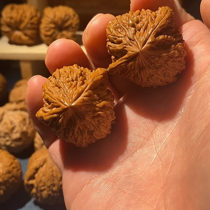 文玩核桃把件38涿鹿丑疆