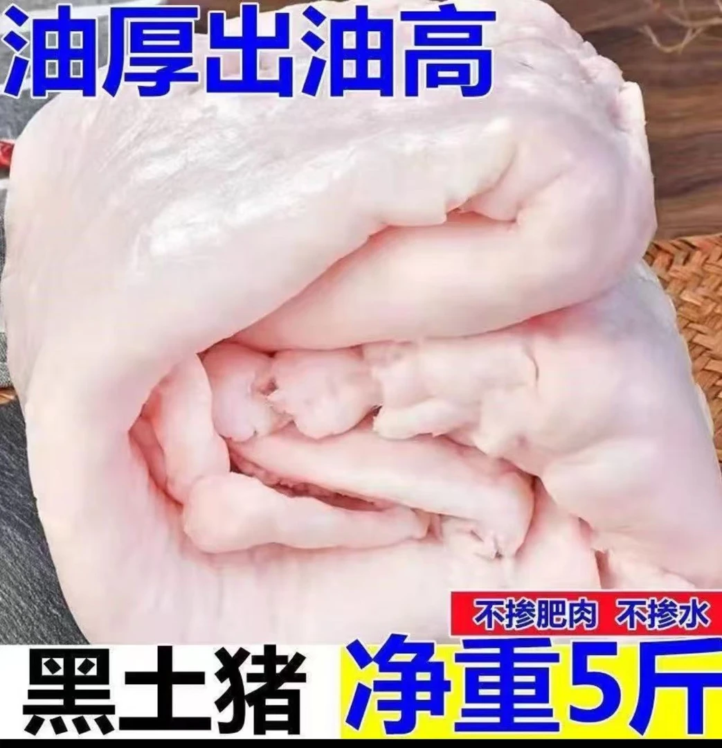 X【猪板油】到手5斤 农家散养土猪猪板油 冷链发货