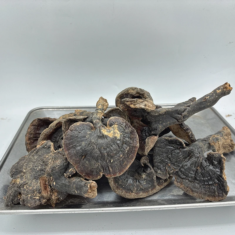 广西纯野生灵芝紫灵芝香味浓郁不苦，不是野生灵芝包退包赔