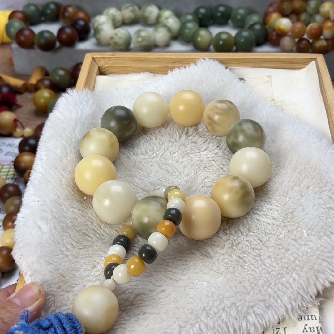 吊坠菩提根/象牙果卡25多宝福利