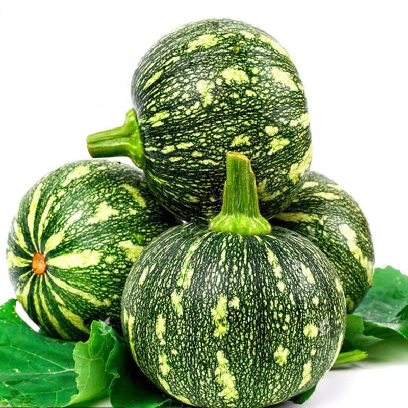 湖南小南瓜农家自种迷你青皮黄心嫩南瓜仔南瓜新鲜黄肉圆南瓜现摘