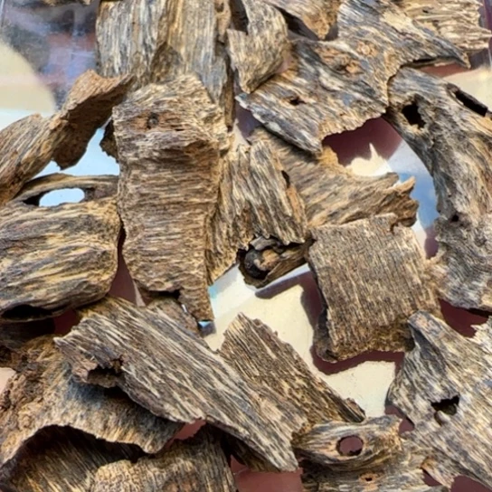 沉香摆件海南野生鸡母虫10克