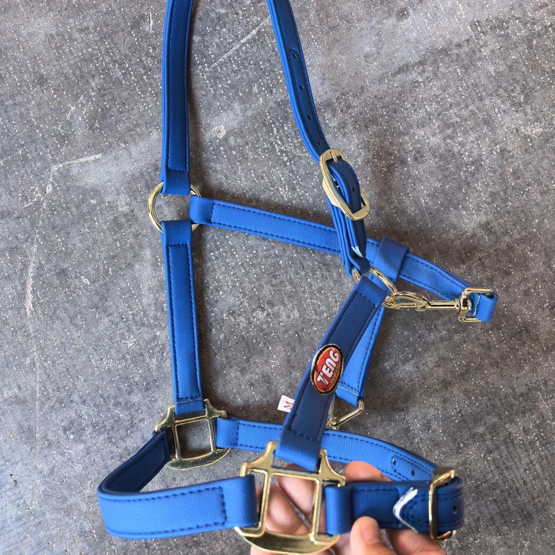 超纤皮马笼头牵马笼头拴马笼头结实耐用马具可调节赛马用品