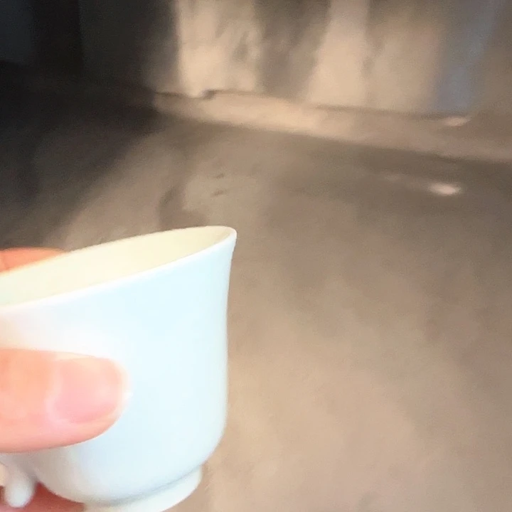 度**萨景德镇陶瓷红马坊杯