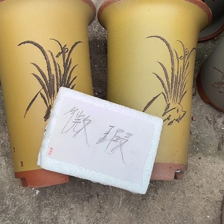 紫砂花盆紫砂兰花盆大甩卖