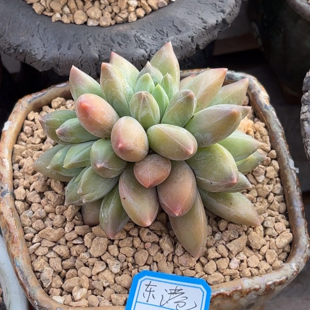 1111111111111111111111