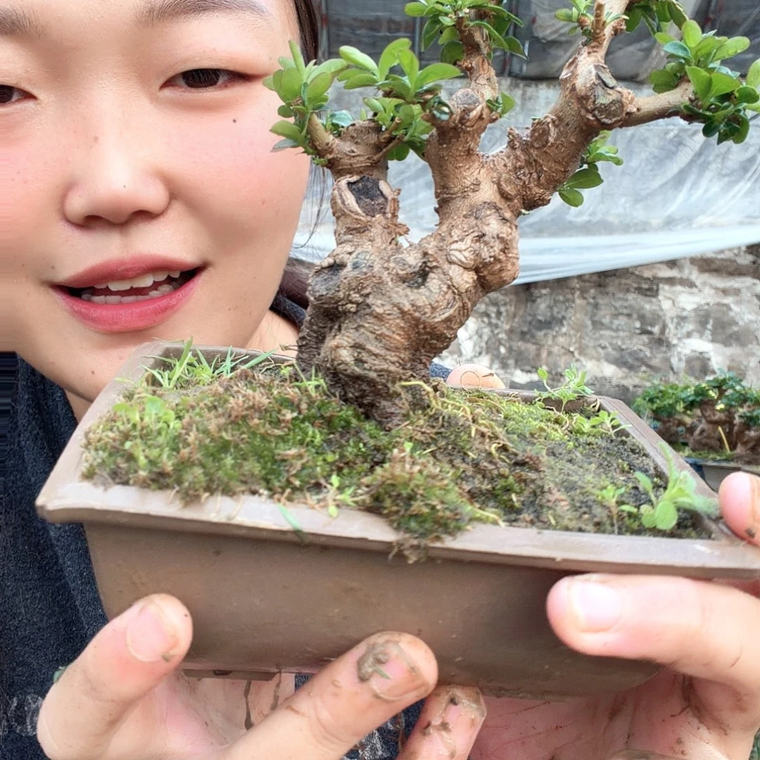 S***y无花朵卖都卖电脑的目的