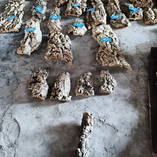 完全开放顺顺利利，平平安安