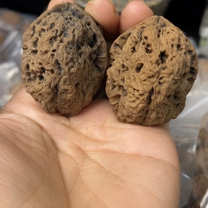 把件文玩核桃云南铁核桃基地52