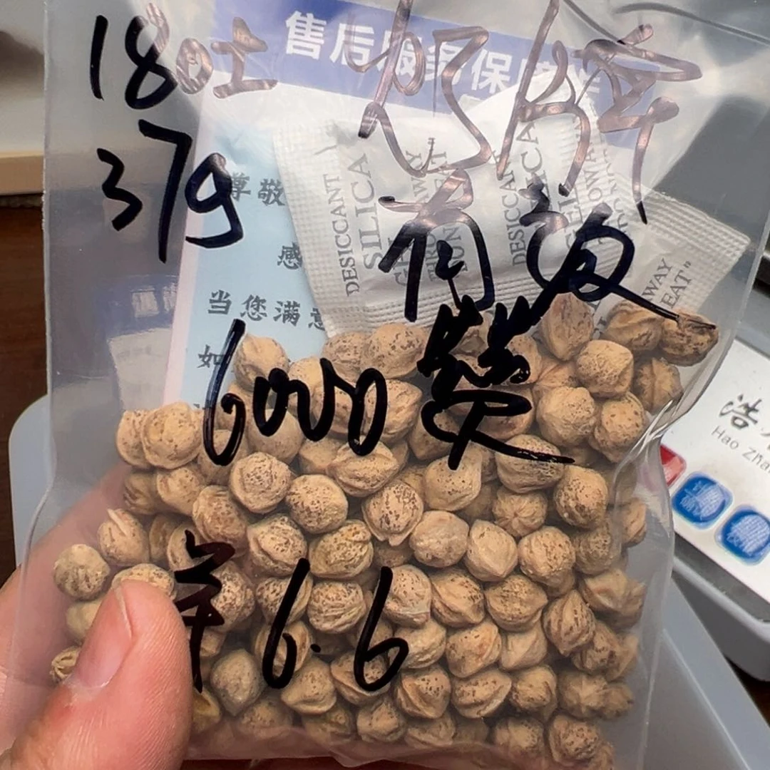 柏香籽/百香籽吊坠哒***咚