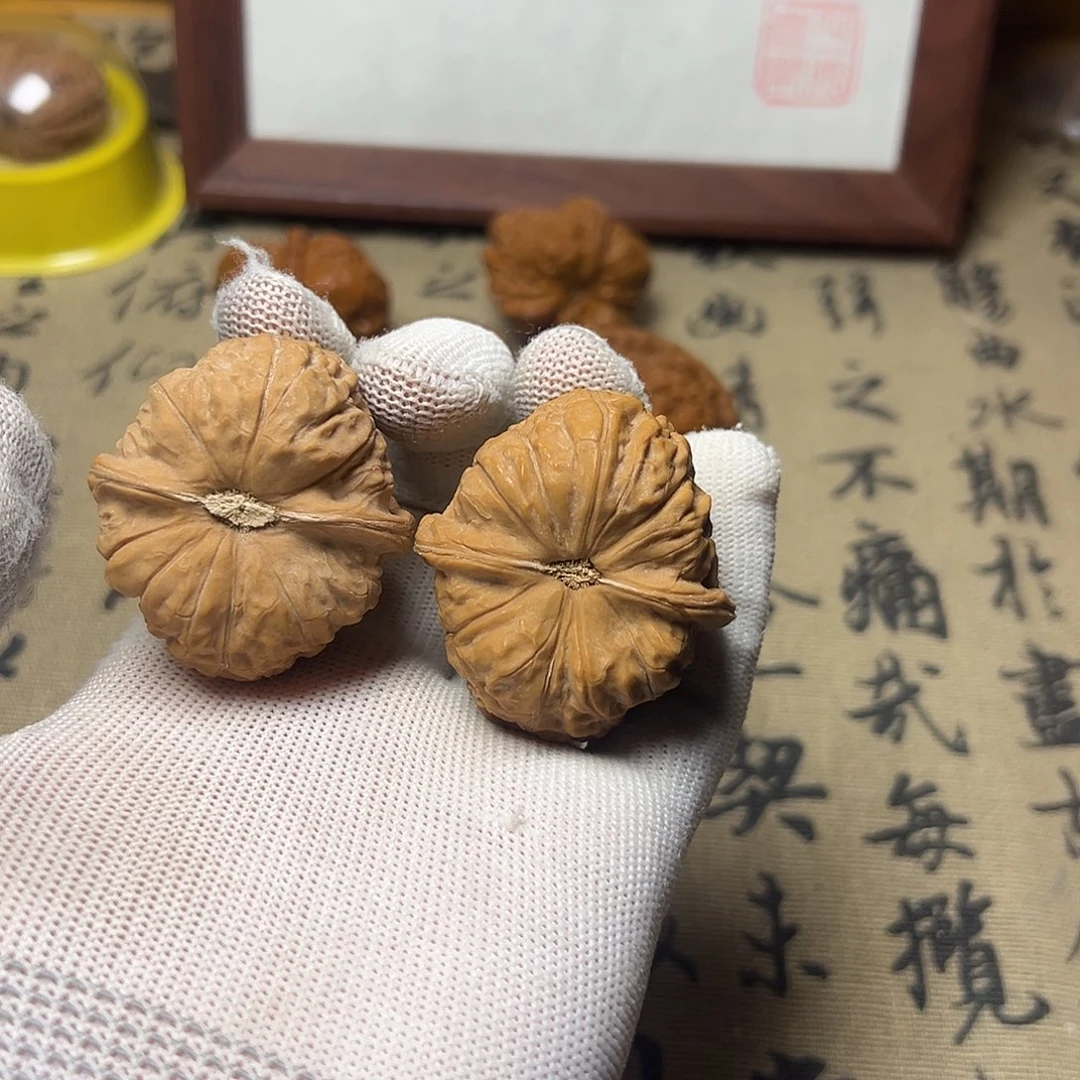 南瓜全品42全品无修