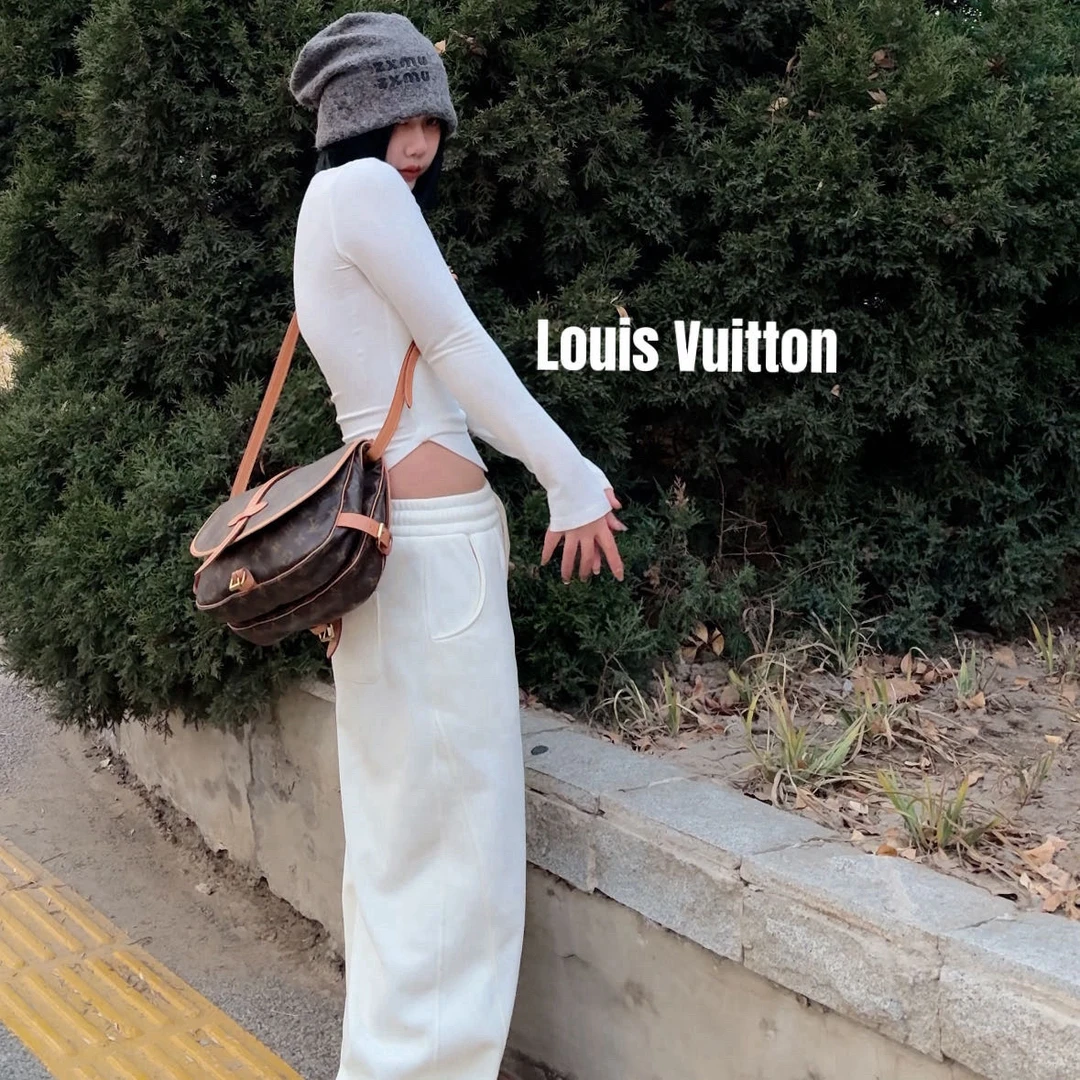 修复品8615579/LouisVuitton/路易威登老花小号双子星包