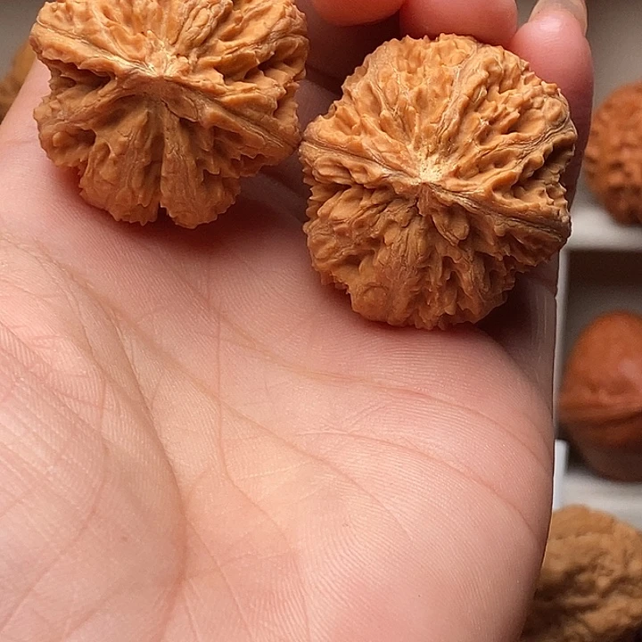 文玩核桃吊坠树王