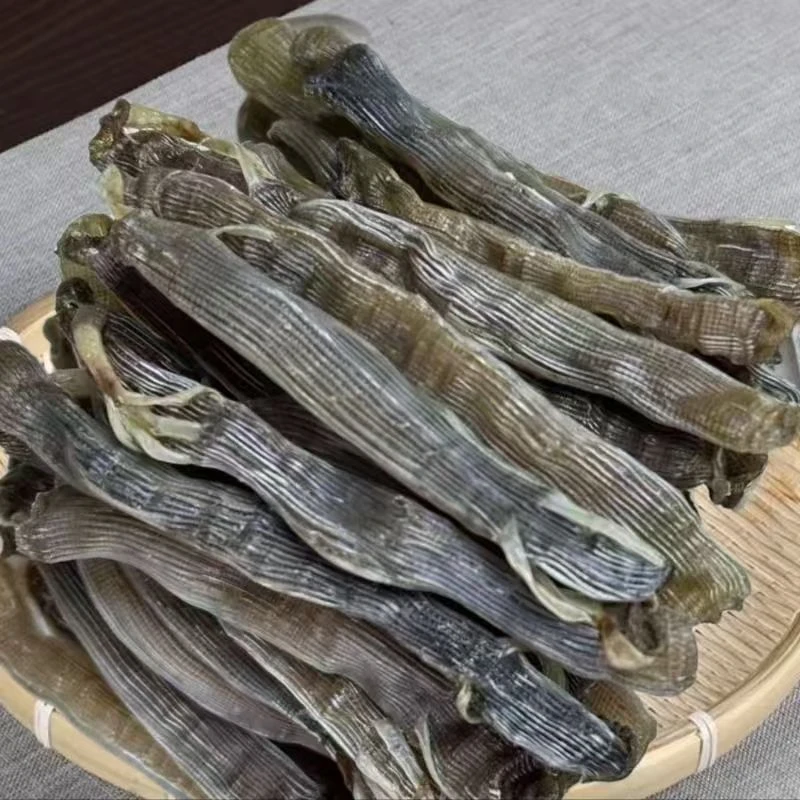 《辰晓明》精选沙虫干