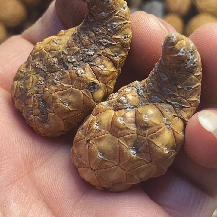 吊坠文玩核桃东北特产239